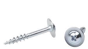 Philip Washer Head Screw